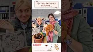 Redensarten mit Sonja & Marina - Deutsche Sprache Wortschatz B2 C1 #german #deutschlernen #shorts