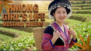 The Journey of Mustard Greens on Rocky Mountains | Hmong People&rsquo;s Life in Ha Giang