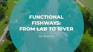 Functional Fishways: From Lab to River | BK-Riverfish | Tomorrow's Catch
