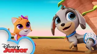Missing Mia | T.O.T.S | @disneyjr