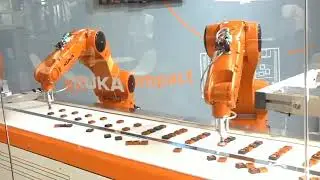 10 Amazing Robots That Really Exist