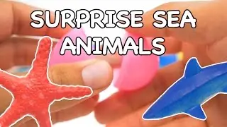 Surprise Sea Animals |  Surprise Eggs |  Baby Songs | Kinder Surprise