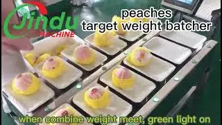 WATCH This Target Weight Batcher Revolutionize Soft Fruit Weighing!