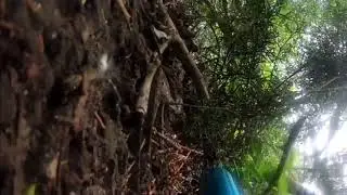 My Plan Was Foiled By A Tree ~ Proto SLG ~ The Edge Paintball Adventures