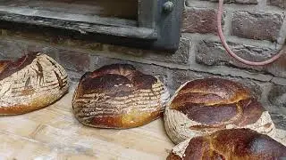 Holzofenbrote ausbacken