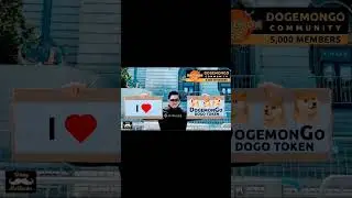 DogemonGO - Jogue e ganhe $DOGO $DOGE