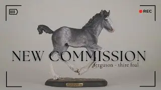FERGUSON - new commission