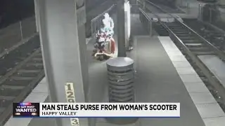 Clackamas Co. deputies asking for help identifying purse thief