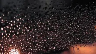 Drumbob 2011 Trailer