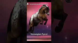 Unsuccessfull Horses in Horse Riding Tales my opinion#hrt#horses#PhoenixAndPixieExpress143#relatable
