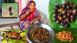  Big snail 😋 Amazing  Cooking and Eating in village 