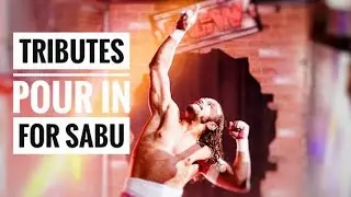 Wrestling world pays tribute to WWE & ECW legend, Sabu, after Death, Aged 60