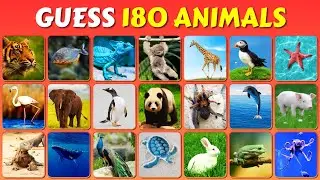 Guess the Animal in 3 Seconds | 180 Different Animals | Ultimate Animal Quiz