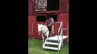 ez access platfom used to mount a horse portable