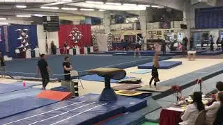 Parkettes Invitational - Vault