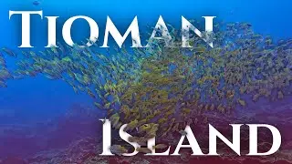 Tioman Island //  Scuba Diving AOW with Udive