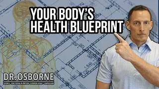 The Immune System Blueprint: Protein, Vitamins & Sunlight That Actually Fight Infection