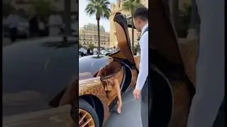 Леди и Lamborghini с леопардовым принтом в Монако! #обувь #высокий #автомобиль #монако #серебро #...