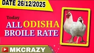 #TodayBroilerRate #Date_26_12_2025 #Todaychickenrate  All odisha broiler rate #broilerrate #Mkcrazy 