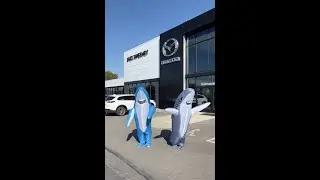 Sweeney Sharks | Mazda Tri-County