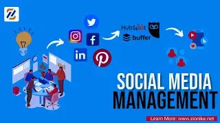 Social Media Management  | Best Digital Marketing & Website Design Learns | Zionike
