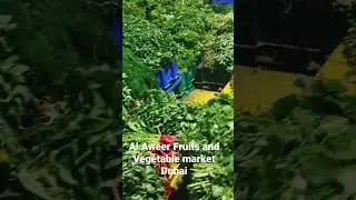 Al Aweer fruits and vegetable market Dubai