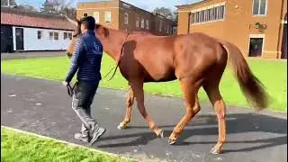 Eupator Profile Video