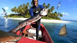 3 Days Stranded On A Exotic Island Camping Cooking & Living From The Ocean 72 Miles