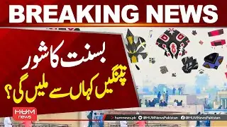 Basant Festival Buzz | Where to Buy Kites?| Hum News | Pakistan