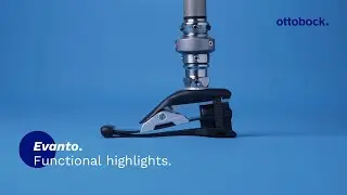 Evanto. Functional highlights. | Ottobock Professionals