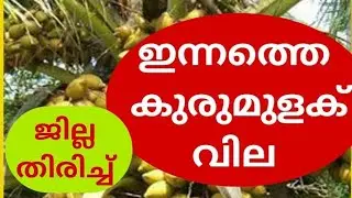 കുരുമുളക് വില ജില്ല തിരിച്ച് |#pepper #arecanut #coconut #rubber  | Malayalam | Kerala