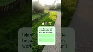 What is your opinions about Islam today why educated people convert largely to islam?