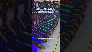 Guowei Electric Scooter: Silent Elegance in Motion