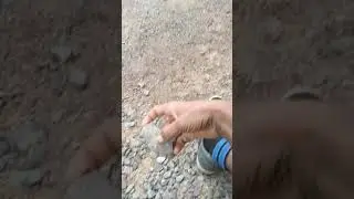MovieFX
