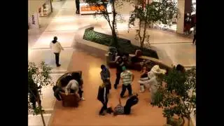 Harlem Shake at the mall