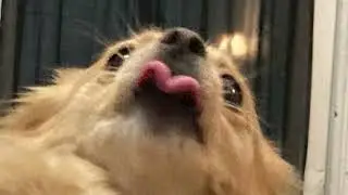 Yeah boi