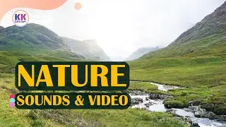 Nature Sounds and video, Water Fountain, Water Sound, Relaxing Waterfall, natural sounds