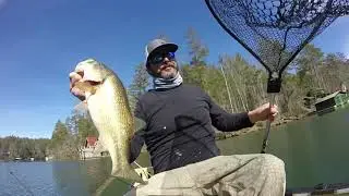 Lake Seed Georgia Febuary 1 2019