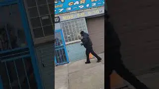 February 2nd walk video to Dan Ryan woods part3
