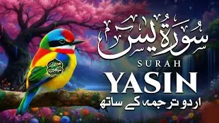 Surah Yaseen Full With Urdu Translation | Heart Touching Recitation | سورہ یٰسین اردو ترجمہ کے ساتھ