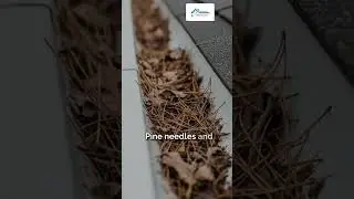 Concord homeowners: gutters clog faster here than you think. #guttercleaning