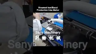 Steamed bun/Baozi Production Line Maker#senymachinery #senymachine #foodmachinery #foodmachine