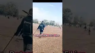 Detectival 2025 Live clips