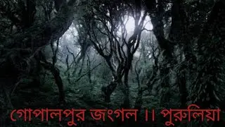 Gopalpur Jungle View || Purulia Vloging || New Vlog 2023 || Horror Jungle || Bipul Mukherjee