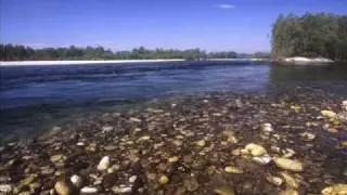 Parco del Ticino di Cesare Re