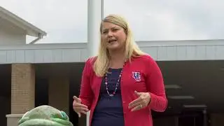 Henry County High School Virtual Tour
