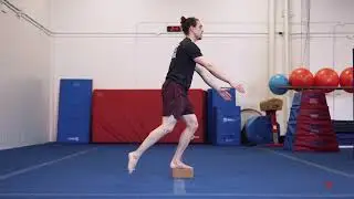 Basic Shrimp Squat   Deficit