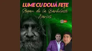 narcis de la barbulesti-stofa de mare boier