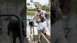 We Rescued A Crying Bird That Was Tangled Up In Fishing Line