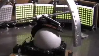 The Cockroach Controlled Mobile Robot (Higher Resolution)